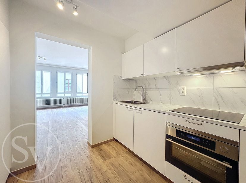 Volledig gerenoveerde studio op de tweede verdieping van de residentie Den Spieghel. Keuken, badkamer, vloeren, schilderwerken, verlichting, ... allem