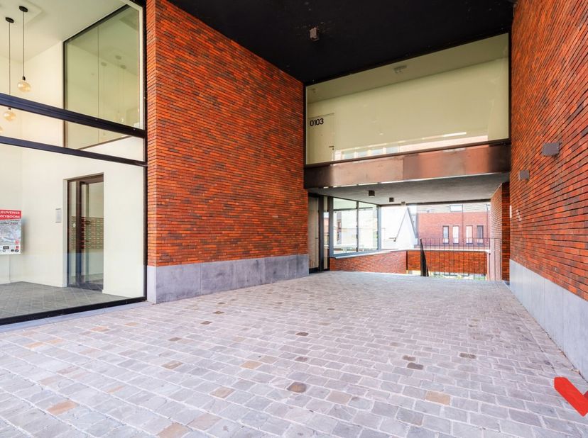 Ruime ondergrondse autostaanplaats te koop in de studentenresidentie ACE, gelegen op een gunstige locatie aan de Riddersstraat in Leuven. De kleinscha