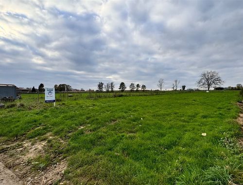                                         Bouwgrond te koop in Viane, € 249.000
