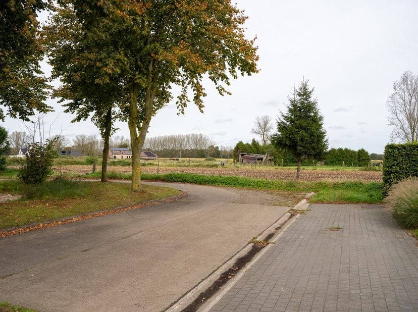 Danneels presenteert vier nieuwe bouwgronden in het verlengde van de Kardinaal Cardijnlaan in het mooie Poederlee (Lille). Een prachtige en idyllische