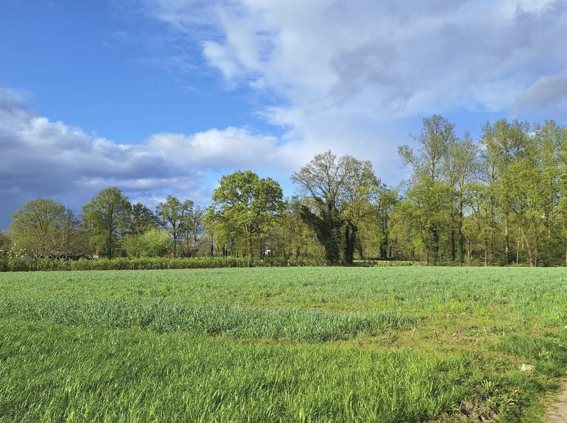 Terrain à vendre
                    à 3960 Opitter