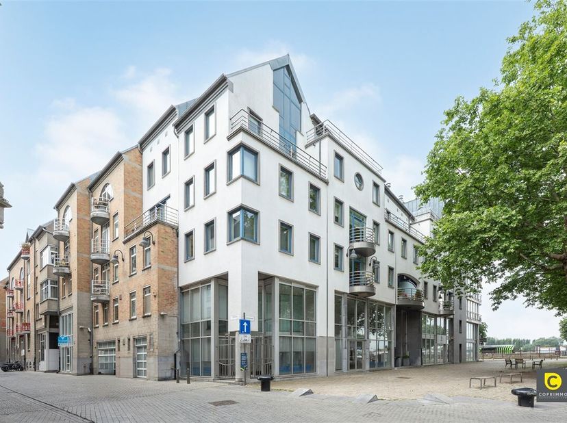 Ce sublime duplex magnifiquement rénové (2020) avec une surface habitable de 230 m² est situé au coeur d&#039;Anvers. Avec une disposition ouverte unique e