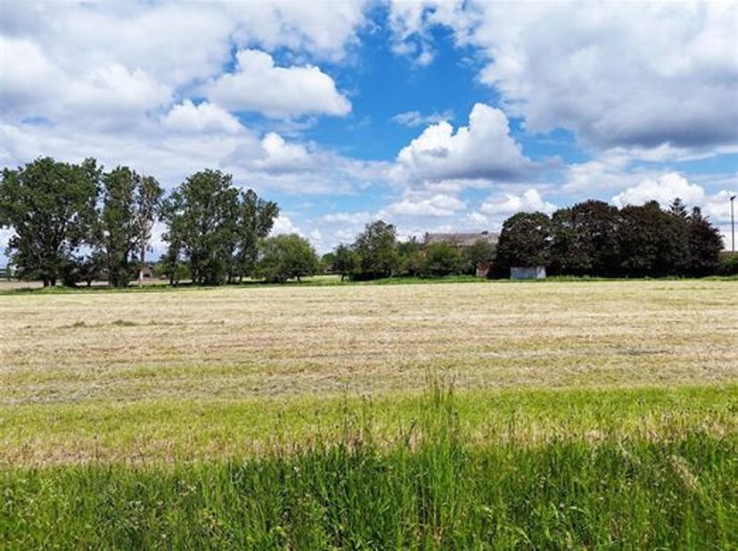Très beau terrain situé dans un environnement calme, Hardisse Voie (rue en cul de sac).&lt;br /&gt;
Il est situé le long dune voirie équipée en eau et élect
