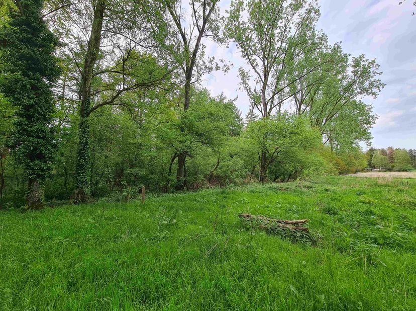 In het groene Eksel op een rustige locatie in Maye Bemden vinden we deze 2 percelen bos van samen  +/- 41 are. Het totaal is +/- 200 m lang en 20 m br