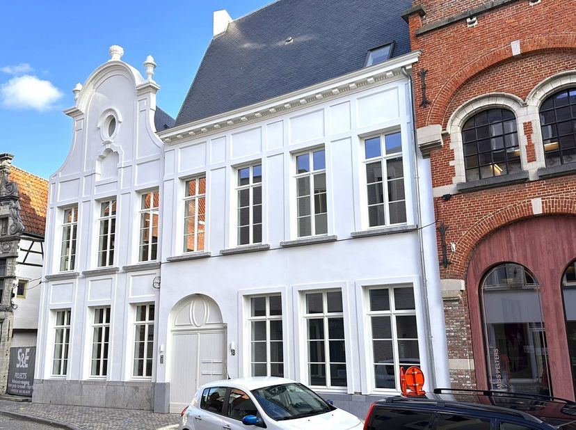 Bien professionnel à vendre
                    à 2800 Mechelen