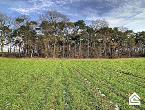                                         Bos te koop in Bocholt, € 65.000

