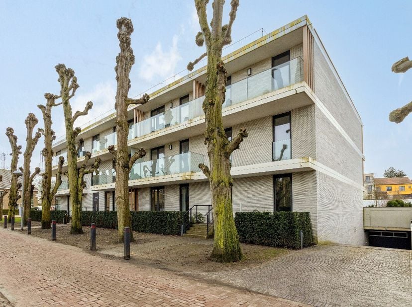 Appartement à louer
                    à 8630 Veurne