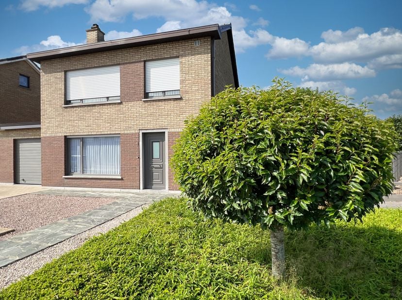 STARTPRIJS, Elk bod hoger dan deze startprijs, wordt voorgelegd aan de eigenaars, die al dan niet kunnen ingaan op dit aanbod.&lt;br /&gt;
&lt;br /&gt;
In de brui