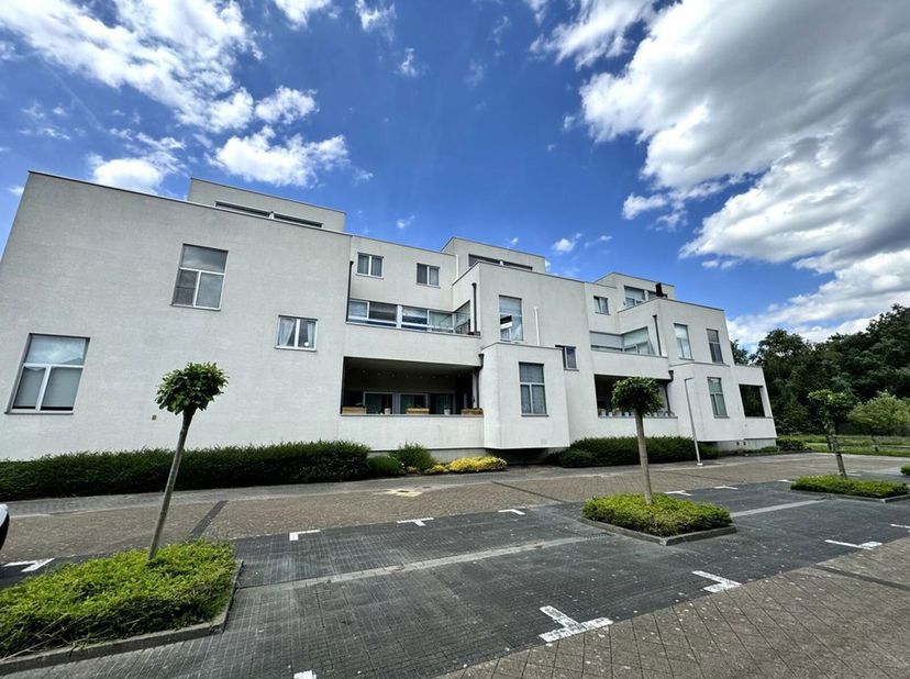 PRACHTIG RUIM (111m2) EN LICHTRIJK APPARTEMENT MET 2 SLAAPKAMERS, RUIM ZONNETERRAS, AUTOSTANDPLAATS, GARAGEBOX + KELDERBERGING TE HASSELT (BINNEN DE G