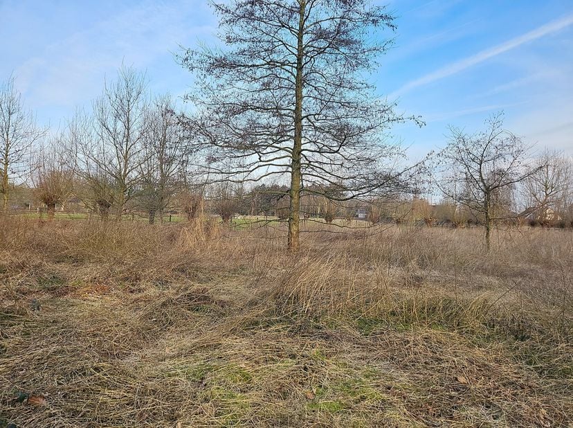 Dit prachtig stuk bouwgrond in de Reesinghelaan te Maldegem is een buitenkans. Wie droomt van een mooie villa in een groene omgeving, kan nu stoppen m