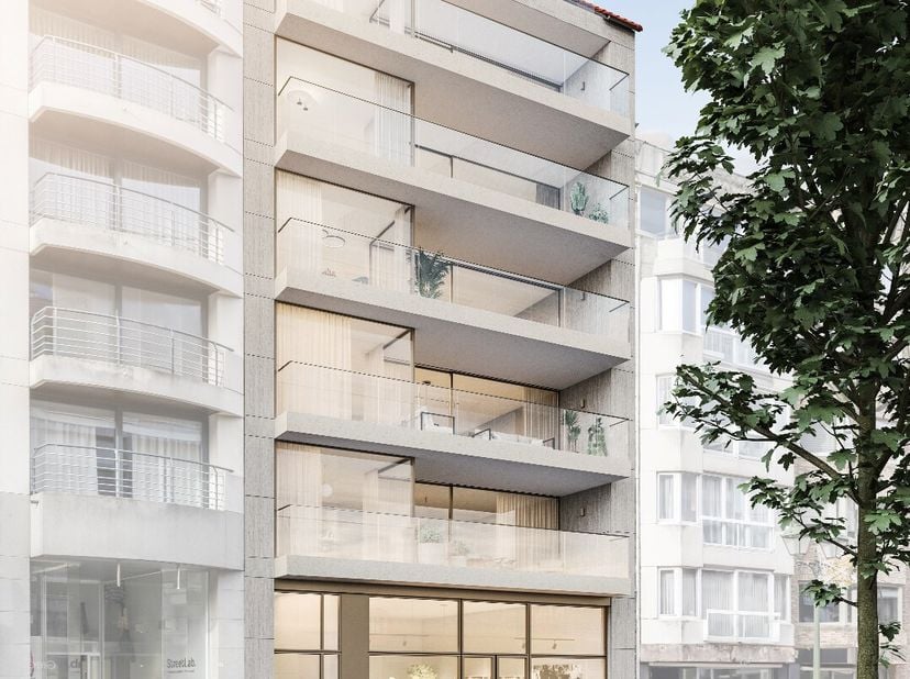 Residentie Rogier komt gelegen langs de Lippenslaan te Knokke. Het gebouw bevat een commerciële handels ruimte met kelderverdieping. Het commercieël g