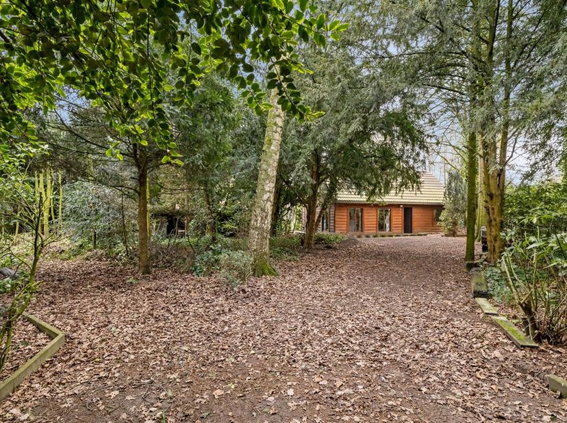 Maison à vendre
                    à 9170 Sint-Pauwels