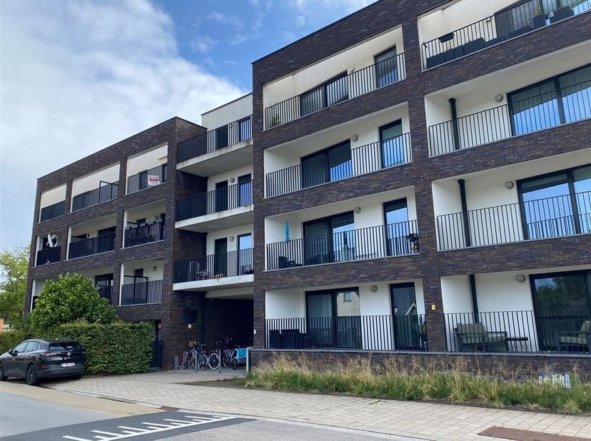 Appartement à louer
                    à 2440 Geel
