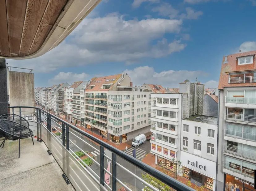 Ruim en lichtrijk ongemeubeld appartement, gelegen aan de zonnige zijde van de Lippenslaan.&lt;br /&gt;
Indeling: Een ruime inkomhal met vestiaire en apart