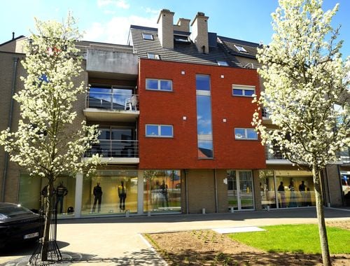                                         Appartement à louer à Tessenderlo, € 760
