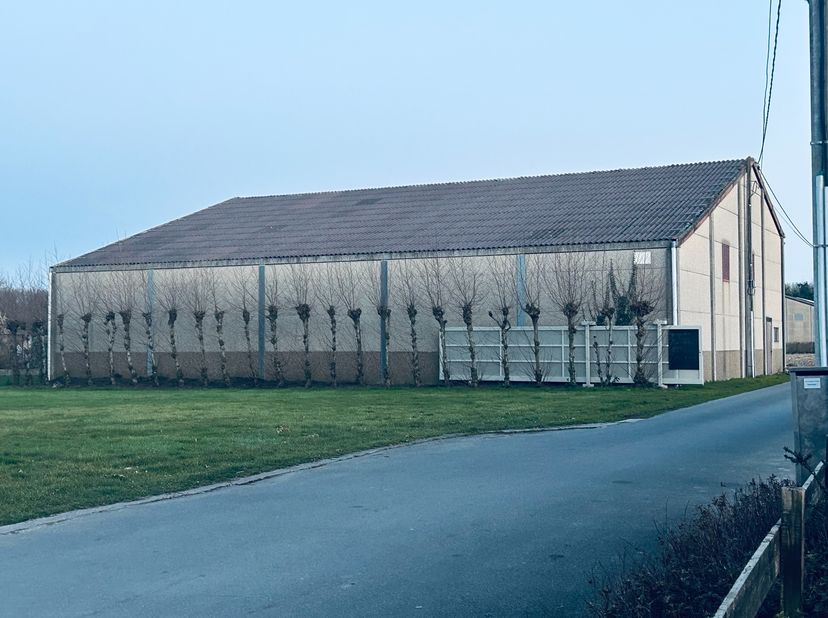 Bien professionnel à louer
                    à 8530 Harelbeke