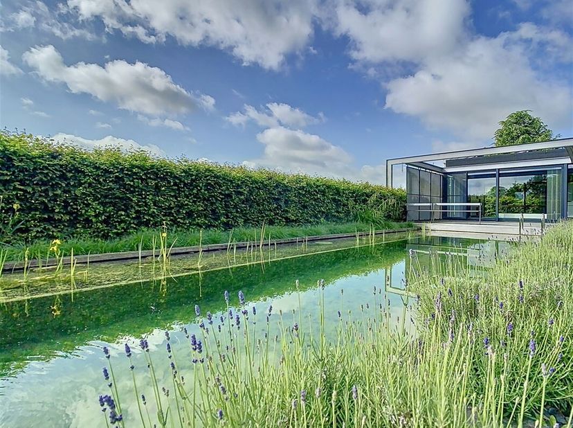 Moderne open bebouwing met zwemvijver, poolhouse, tuin, terrassen en een garage gelegen te Glabbeek, Halensestraat 2C. Totaal perceel oppervlakte van