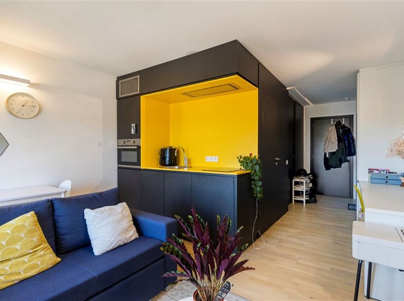 Ben je op zoek naar een compacte en comfortabele woonst of een interessante investering in  hartje Leuven? &lt;br /&gt;
Dan is dit appartement van 33 m² op
