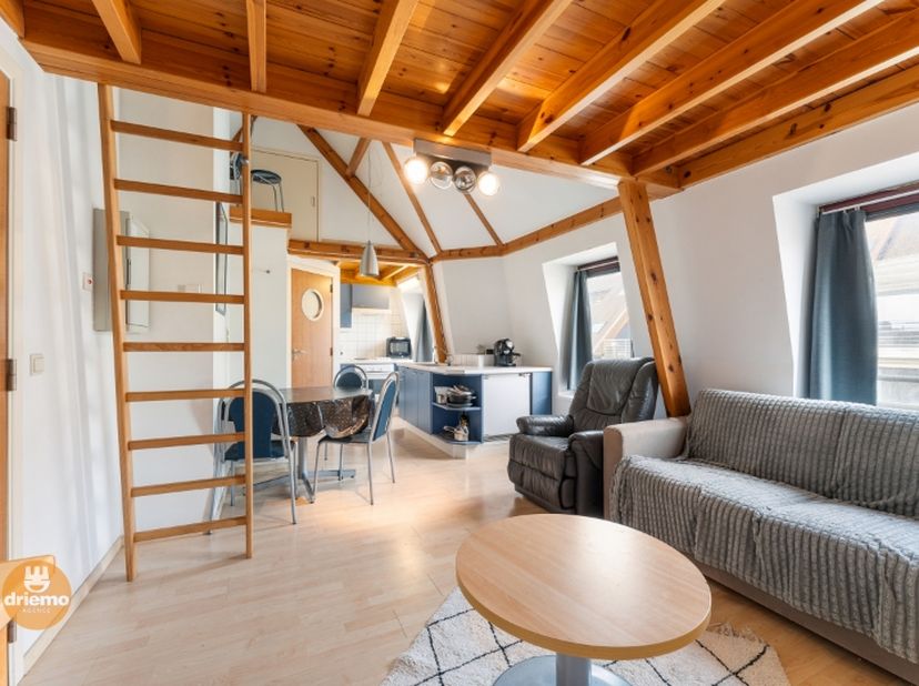Studio op het vierde verdiep in erfgoedparel &#039;Hotel du Sablon&#039; grenzend aan de vernieuwde pittoreske Dumontwijk, op enkele stappen van de zee.&lt;br /&gt;
I