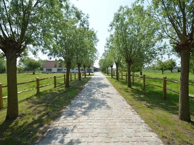 Ferme de caractère située au calme à seulement quelques minutes de Knokke au bord du canal du Damse Vaart. Sise sur un terrain de 12.279m² bénéficiant