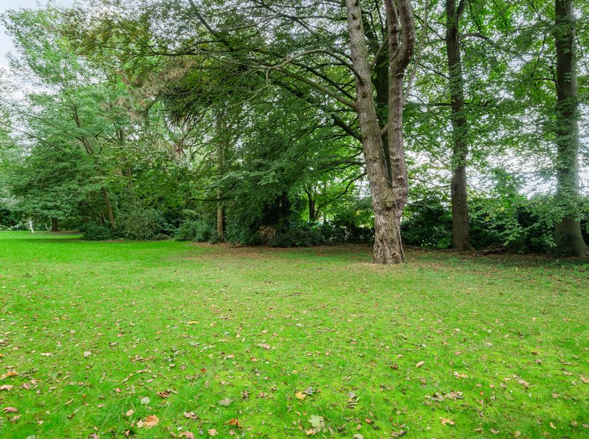 Droom je van een woning in een rustige, groene omgeving met alle voordelen van een residentiële buurt? Dit perceel van 2.800 m² aan de Leikes in Edege
