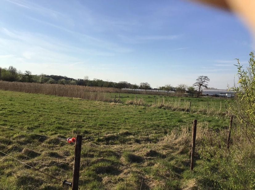 Terrain à vendre
                    à 9230 Wetteren