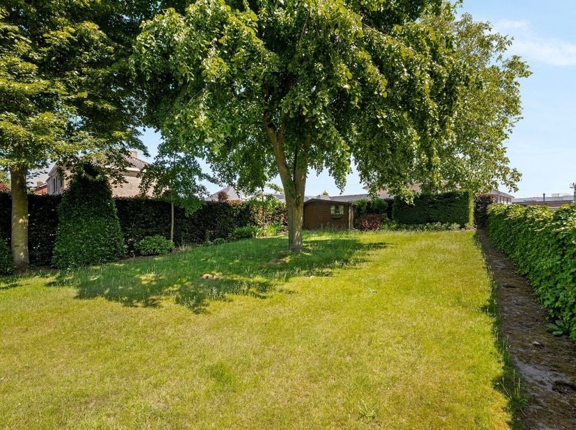 Terrain à vendre
                    à 8600 Diksmuide