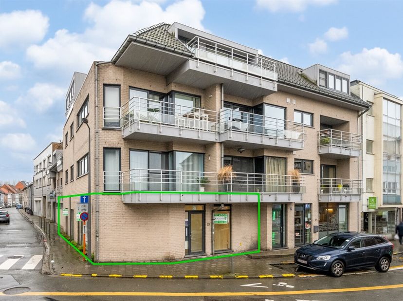 Bien professionnel à vendre
                    à 9300 Aalst