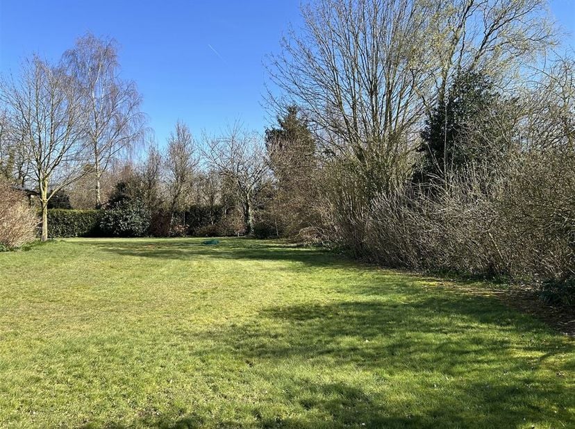 Prachtig gelegen bouwgrond in het centrum van Hamont met oppervlakte van 7a 19ca. De grond is gesitueerd op een TOP-locatie: op het einde van een rust