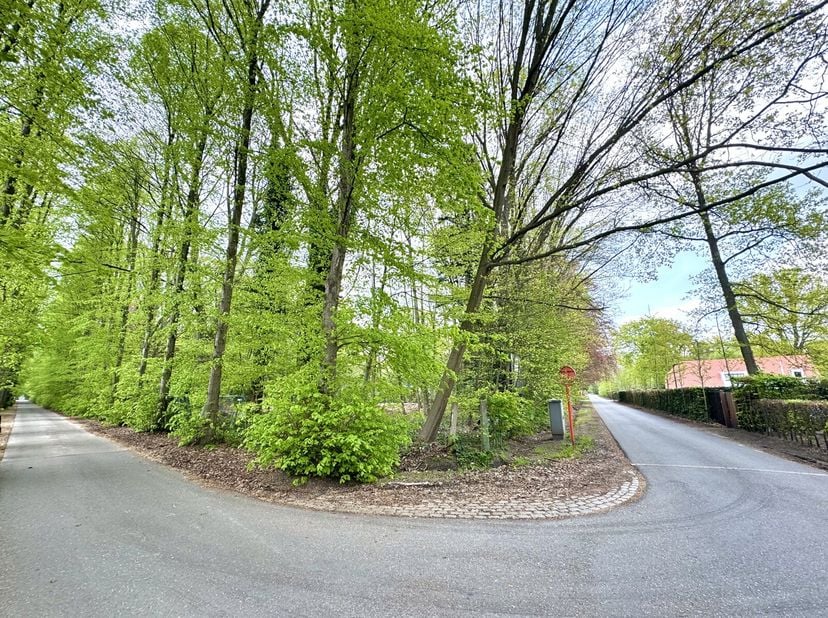 Terrain à vendre
                    à 2950 Kapellen