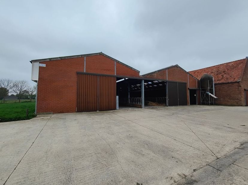 Ruime opslagloods van 1000 m² te huur.&lt;br /&gt;
De loods, die enkel geschikt is voor opslag, zal volledig worden leeggemaakt en er komt een egale gietvlo