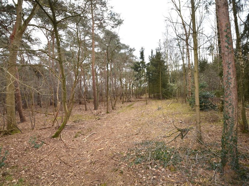 Terrain à vendre
                    à 2560 Nijlen