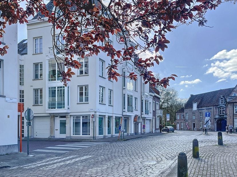 Prachtig gelegen appartement met zicht op de Binnen-Nete en het brugje naar het Zimmerplein. Pal in het historische centrum met alle faciliteiten binn