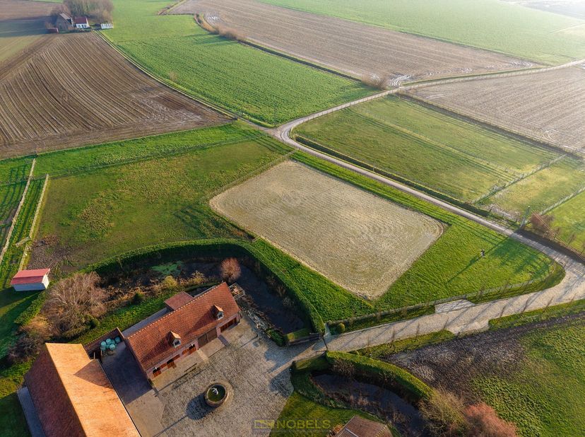 Bien professionnel à vendre
                    à 8550 Zwevegem