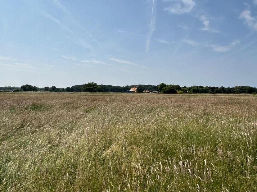 Terrain à vendre
                    à 3290 Schaffen