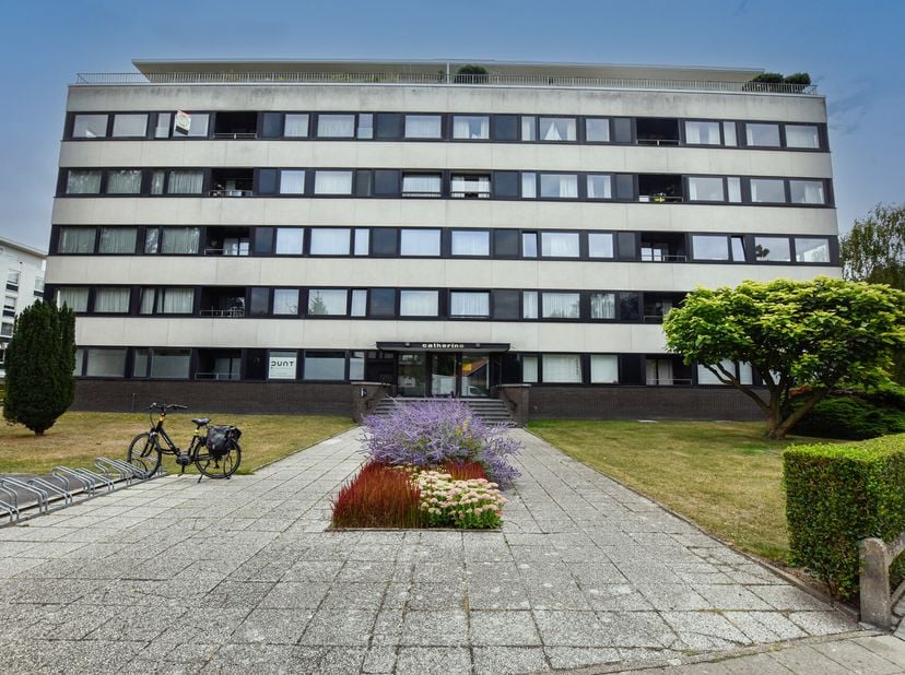 Appartement à louer
                    à 8310 Assebroek