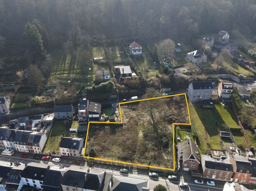 Gelegen in het charmante dorp Anseremme, biedt dit prachtige bouwperceel van 24 are 23 centiare een volledig residentiële omgeving met een landelijk k