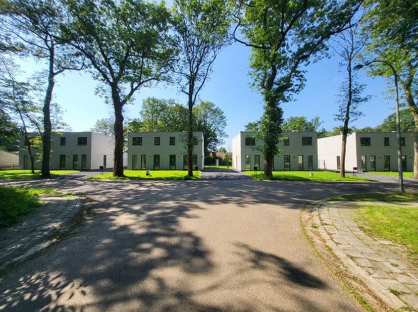 Maison à vendre
                    à 3970 Leopoldsburg