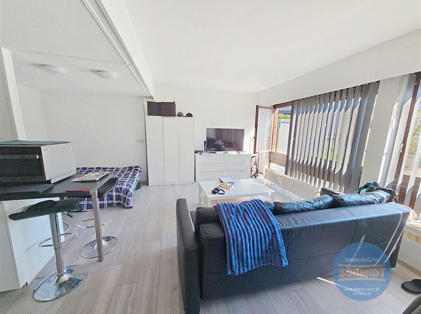 IXELLES ( Parc Tenobsch ) : Beau studio de 42m2 situé à proximité du parc Tenbosch, de la rue Américaine, à quelques centaines de mètres de l&#039;Avenue L