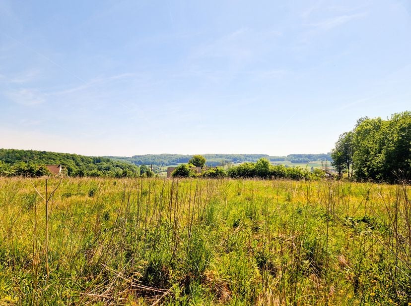 Mooi bouwgrond, van 3100 m², ideaal gelegen in een idyllische omgeving, in directe verbinding met de natuur, op de hoogten van Frasnes, en dicht bij d