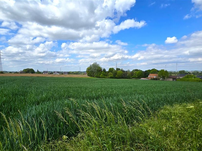 In het prachtige Mont-de-l&#039;Enclus, op de flanken van het gekende Kluisbos, aan de Waalse zijde, krijg je de kans te bouwen op een ruim, recht perceel