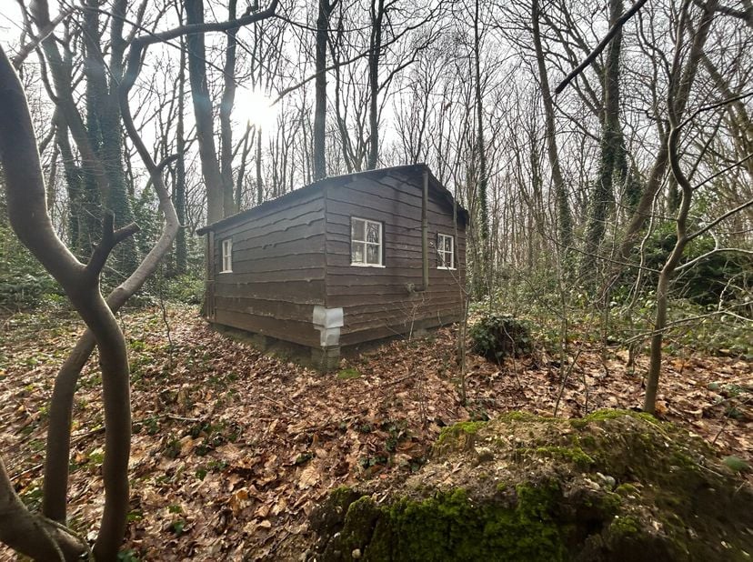 Parcelle de forêt avec petit chalet sur 2840m²Découvre ce propriété ou vous pouvez profiter de tous le répos et silence.Extra&#039;s: à 5km d&#039;IepreIdéal po