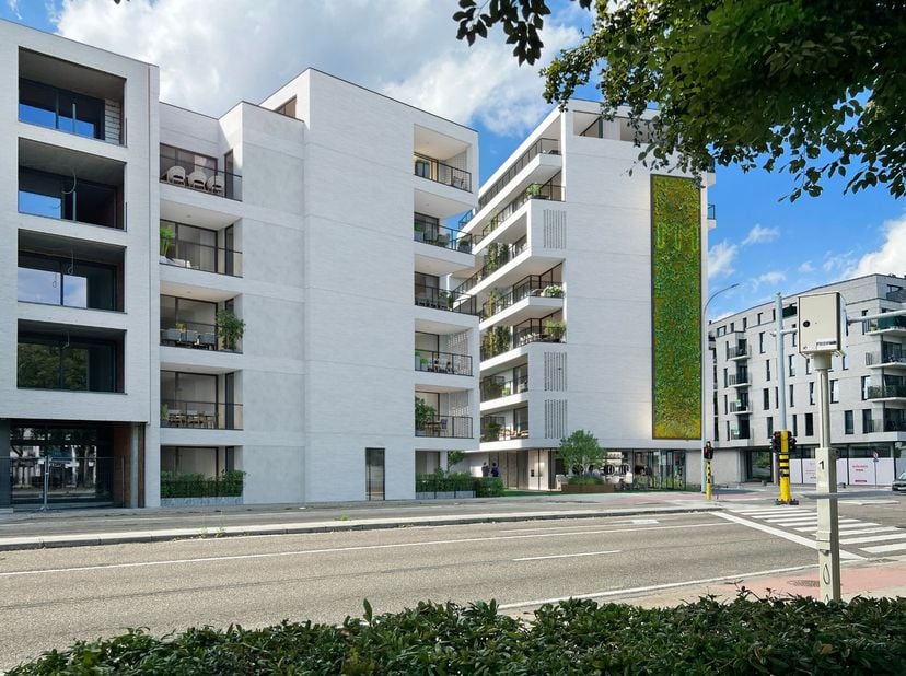 Appartement te koop
                    in 3630 Mechelen-aan-de-Maas