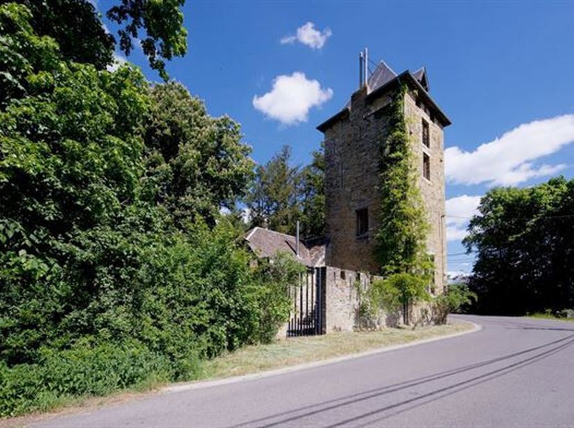 OPTION Joyau historique au charme authentique : tour et ancienne entrée du château de Serinchamps.&lt;br /&gt;
Entièrement rénovée en 2006, cette demeure de