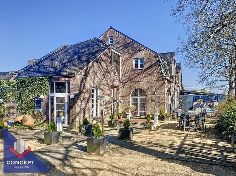 Bien professionnel à vendre
                    à 3630 Opgrimbie