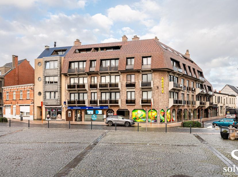 Appartement à vendre
                    à 9880 Aalter