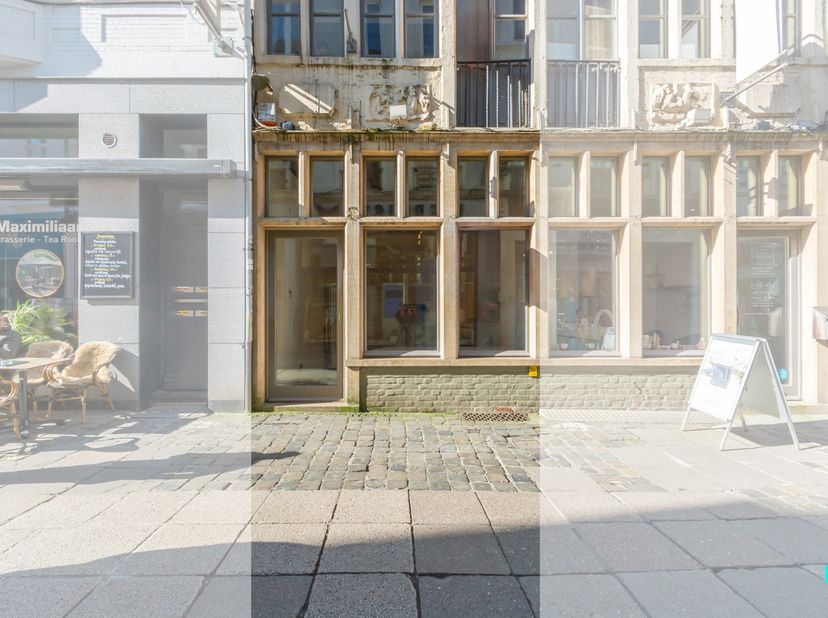 Bien professionnel à vendre
                    à 9000 Gent