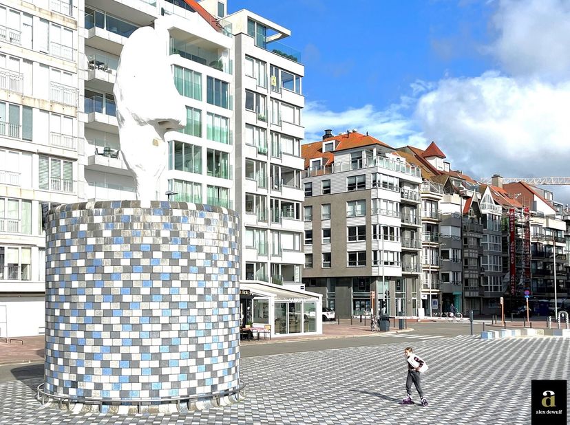 Appartement soigné avec vue latérale sur la mer  Emplacement de choix près de la digue et de la Place Rubens&lt;br /&gt;
À deux pas de la digue et de la Pla