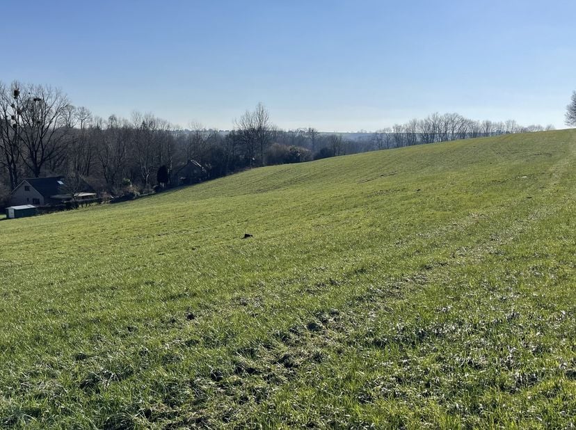 Vaste ensemble de parcelles de terrain (+/- 32.235 m² d&#039;après matrice cadastrale) situées en zone d&#039;aménagement communal concerté (certaines parcelles