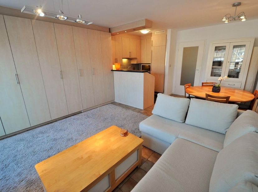 Zuidgerichte studio met zijdelings zeezicht op 50m wandelafstand van de zeedijk Albertstrand &amp; Lippenslaan.&lt;br /&gt;
Indeling: inkomhall, badkamer, toile